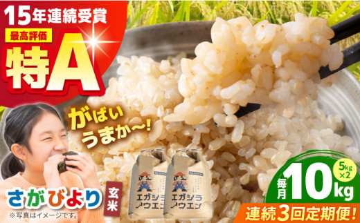 [全3回定期便]がばいうまか エガシライス ( さがびより ) 玄米 10kg ( 5kg×2袋 ) [江頭農園] 