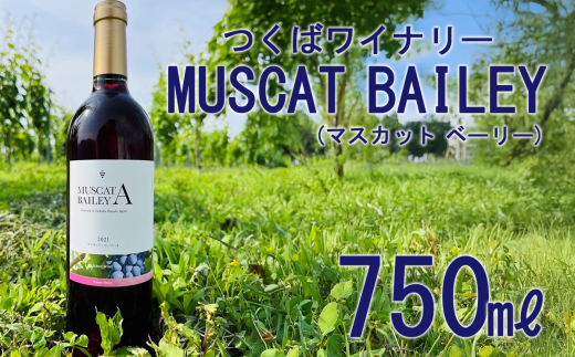 2021つくばワイナリー MUSCAT BAILEY A 【お酒 葡萄 ぶどう ブドウ 茨城県産 つくば市産 ワイナリー】 2095561 - 茨城県つくば市