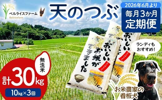 【お米の定期便 2026年6月より毎月3か月配送】農家直送 天のつぶ 無洗米 10kg 全3回 F6U-191