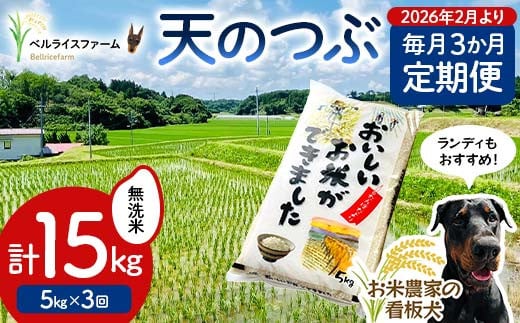 【お米の定期便 2026年2月より毎月3か月配送】農家直送 天のつぶ 無洗米 5kg 全3回 F6U-188