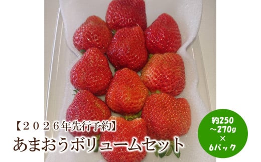 【2026年先行予約】あまおうボリュームセット(6パック)【044-0061】