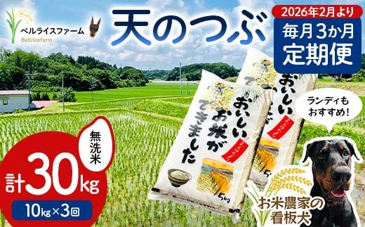 【お米の定期便 2026年2月より毎月3か月配送】農家直送 天のつぶ 無洗米 10kg 全3回 F6U-189