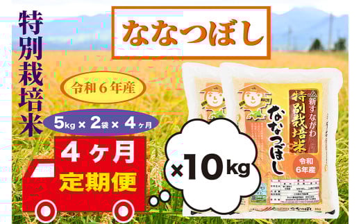 【定期便4回】北海道奈井江町　特別栽培米　ななつぼし　10kg 2101455 - 北海道奈井江町