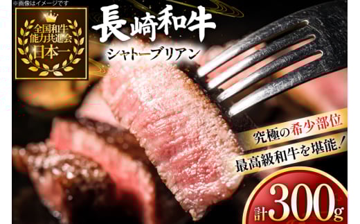 牛肉 和牛 長崎和牛 シャトーブリアン 150g 2枚 計300g [黒牛 長崎県 東彼杵町 hs42bag750078] 赤身肉 ステーキ シャトー シャトーブリアン 長崎和牛 和牛 2085945 - 長崎県東彼杵町