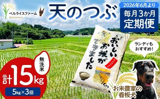 【お米の定期便 2026年6月より毎月3か月配送】農家直送 天のつぶ 無洗米 5kg 全3回 F6U-190