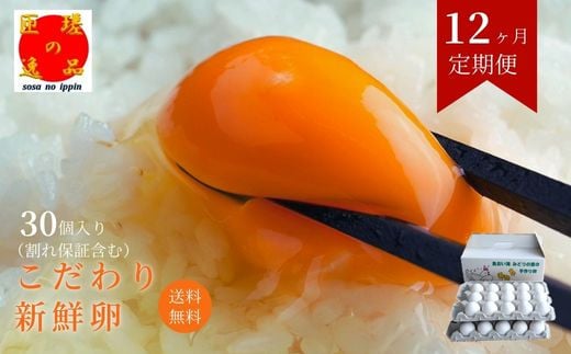 【定期便12回】九十九里ファームこだわりたまご贈答用30個～あおい海・みどりの里～《白玉》 30個 たまご 卵 玉子 タマゴ 新鮮 旨み 甘み 贈答用 贈答 ギフト 贈り物 千葉県 匝瑳市