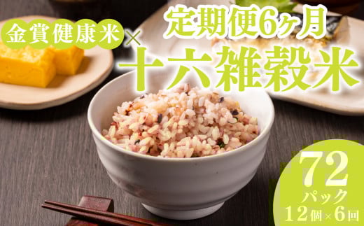 定期便 6ヶ月 ご飯パック 金賞 健康米 十六雑穀米  120g×12個入り 国産 レンチン もち麦 軽食 夜食 簡単 白米 麦 食物繊維 ビタミン 御飯 ごはん パック ご飯 パックライス 