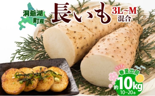 北海道産 長いも 春夏出荷 約10kg 2025年5月上旬～7月下旬お届け 長芋 ながいも とろろ 農作物 野菜 新鮮 根菜 山かけ 産地直送 お取り寄せ 送料無料 冷蔵 北海道 洞爺湖町