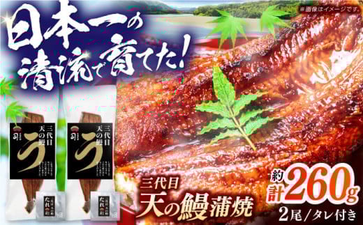 【父の日発送】土佐料理司 三代目天の鰻蒲焼2尾セット 高知市 春野町産/着日指定可能 【株式会社土佐料理司】 [ATAD020] うなぎ 鰻 ウナギ  国産 うなぎ蒲焼 高知 うな重 うな丼 ひつまぶし 鰻蒲焼き 2084686 - 高知県高知市