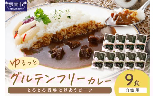 【自家用 化粧箱なし】ゆるっとグルテンフリー とろとろ旨味とけあうビーフカレー（中辛）9食セット【092D-013】 2084466 - 大阪府泉南市