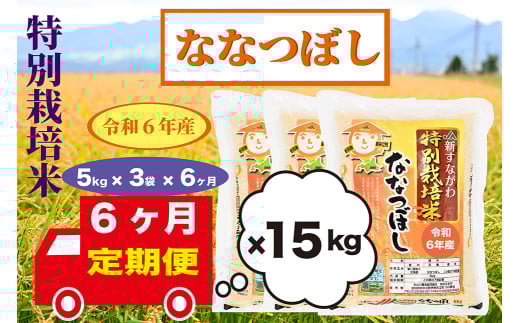【定期便6回】北海道奈井江町　特別栽培米　ななつぼし　15kg