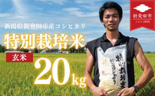 【 令和7年産】 玄米 コシヒカリ 20kg 5kg×4袋 特別栽培米 こしひかり ご飯 備蓄 コメ お米 米 こめ しんまい 新潟産 新潟米 新潟県 新潟 新発田 新発田市 国産 斗伸 toushin026
