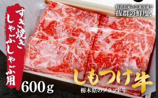  しもつけ牛のすき焼き・しゃぶしゃぶ用ロース600ｇ |  牛肉 肉 お肉 すき焼き しゃぶしゃぶ ロース リブロース 肩ロース 産地直送 国産 国産牛 交雑 赤身 霜降り 希少 旨味 旨み 熟成 急速冷凍 テクニカン テクニカン社 スキンパック 真空パック 真空包装 コトラミートカルチャ 栃木県 茂木町 2059476 - 栃木県茂木町
