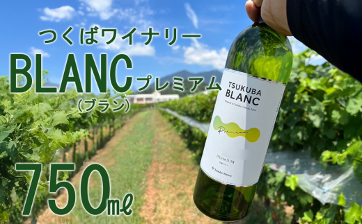 つくばワイナリー TSUKUBA BLANC プレミアム  【お酒 葡萄 ぶどう ブドウ 茨城県産 つくば市産 ワイナリー】