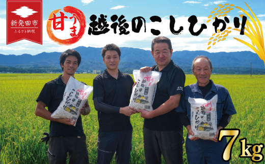 先行予約 こしひかり 白米 7kg 令和7年産 新米 甘うま越後の コシヒカリ 米 お米 こめ 新潟米 新潟県産 新潟産 新潟 新潟県 新発田産 新発田 新発田市 斗伸 toushin006_02 1482810 - 新潟県新発田市
