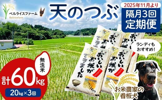 【お米の定期便 2025年11月より隔月3回配送】農家直送 天のつぶ 無洗米 20kg 全3回 F6U-183