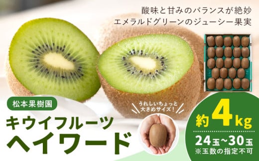 キウイフルーツ ヘイワード 約4kg 24玉 ～ 30玉 松本果樹園 《12月中旬-1月末頃出荷》茨城県 結城市 キウイ きうい グリーンキウイ 果物 フルーツ 新鮮 国産 ギフト 贈答 送料無料