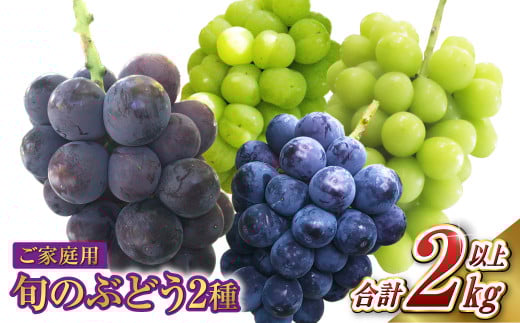 ご家庭用 旬のぶどう 2種（合計2kg以上）【2025年8月下旬～10月下旬 発送予定】【産地直送 岡山県産 国産 シャインマスカット ニューピオーネ ブドウ 葡萄 ぶどう 果物 ギフト たけまさぶどう園 人気フルーツ 岡山フルーツ おすすめフルーツ 岡山県 倉敷市 おすすめ 人気】 1510943 - 岡山県倉敷市