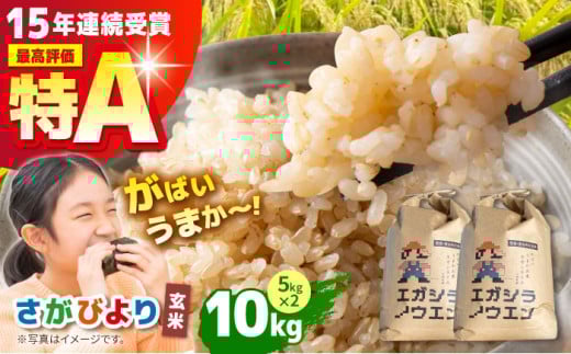【先行予約】令和6年産 がばいうまかエガシライス ( さがびより ) 玄米 10kg ( 5kg×2袋 ) 【江頭農園】 [HAU003] / 米 玄米 佐賀 佐賀県産 特A評価 特A米 294543 - 佐賀県江北町