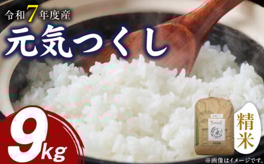【先行受付】元気つくし(精米)9kg【令和7年度産米】_Gr049 1459183 - 福岡県久留米市