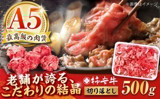 切り落とし 500g 最高級A5等級 三重県産黒毛和牛 柿安牛 / a5 切り落とし 牛肉 冷蔵 国産牛肉 和牛 牛肉 切り落とし肉 牛肉 冷蔵 切り落とし / 亀山市 / 柿安本店 [AMBW001]