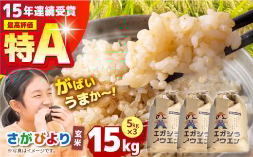 【先行予約】令和6年産 がばいうまかエガシライス ( さがびより ) 玄米15kg ( 5kg×3袋 ) 【江頭農園】 [HAU001] / 米 玄米 佐賀 佐賀県産 特A評価 特A米 さがびより 284225 - 佐賀県江北町