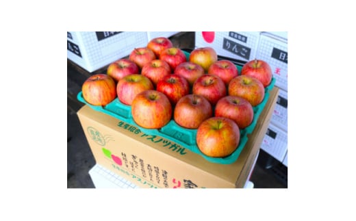 ＜25年12月出荷予定＞平均糖度13度以上! サンふじ 約5kg おもてなし用【1612825】 2084225 - 青森県青森市