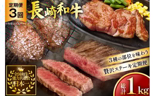 牛肉 和牛 定期便 長崎和牛 ステーキ 食べ比べ 3回 ヒレ ランプ サーロイン 総計1.0kg [黒牛 長崎県 東彼杵町 hs42bag750004] 赤身肉 赤身肉ステーキ 赤身ステーキ ヒレステーキ サーロインステーキ ランプ 2085913 - 長崎県東彼杵町