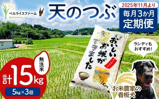 【お米の定期便 2025年11月より毎月3か月配送】農家直送 天のつぶ 無洗米 5kg 全3回 F6U-180