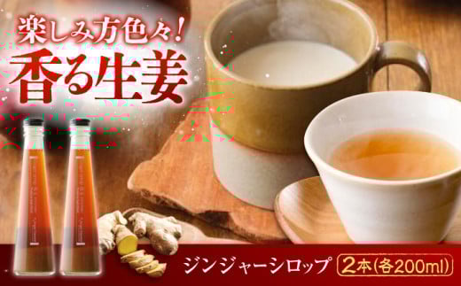 国産生姜シロップ ジンジャーシロップ珠玉 200ml×2本 詰合せ　広島県福山市/ジンジャーダイヤモンド 生姜 しょうが ショウガ シロップ 生姜シロップ 生姜湯 国産 [BAAV004] 1284596 - 広島県福山市