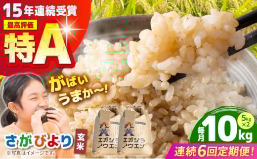 【全6回定期便】がばいうまか エガシライス ( さがびより ) 玄米 10kg ( 5kg×2袋 ) 【江頭農園】 [HAU007] 294547 - 佐賀県江北町