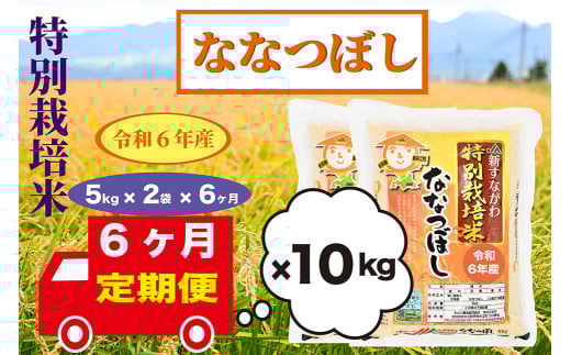 【定期便6回】北海道奈井江町　特別栽培米　ななつぼし　10kg 2101456 - 北海道奈井江町