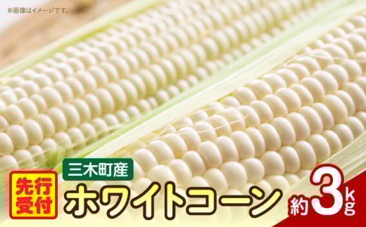三木町産 ホワイトコーン 約3.0㎏_mk059-021 783550 - 香川県三木町