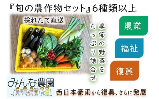 【思いやり型返礼品】倉敷市真備町みんな農園旬の農産物セット【農産物 野菜 農園 新鮮 畑 やさい 美味しい おいしい 真備町 岡山県 倉敷市 おすすめ 人気】 518294 - 岡山県倉敷市