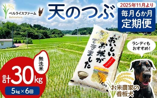 【お米の定期便 2025年11月より毎月6か月配送】農家直送 天のつぶ 無洗米 5kg 全6回 F6U-184