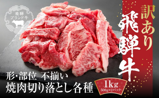 訳あり 飛騨牛 焼肉 切り落とし 1kg(500g×2パック) 冷凍真空パック | 肉 お肉 切落し 不揃い 焼肉 焼き肉 やきにく 黒毛和牛 和牛 人気 おすすめ 牛肉 ギフト お取り寄せ 飛騨高山ミート MZ036 2083848 - 岐阜県高山市