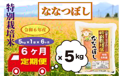 【定期便6回】北海道奈井江町　特別栽培米　ななつぼし　5kg 2101454 - 北海道奈井江町