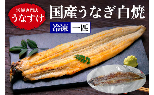 [冷凍] 国産うなぎ 白焼 (1匹) [0867] 1569371 - 大阪府寝屋川市