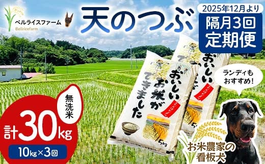 【お米の定期便 2025年12月より隔月3回配送】農家直送 天のつぶ 無洗米 10kg 全3回 F6U-186