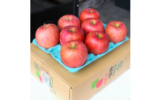 ＜25年11月出荷予定＞平均糖度13度以上! サンふじ 約3kg 贈答用【1612830】 2084230 - 青森県青森市