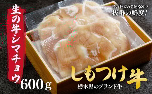 しもつけ牛 希少な国産牛の生シマチョウ600ｇ | 牛肉 肉 お肉 シマチヨウ ホルモン 生ホルモン 希少 国産ホルモン もつ煮 もつ もつ鍋 産地直送 国産 国産牛 交雑 赤身 霜降り 希少 旨味 旨み 熟成 急速冷凍 テクニカン テクニカン社 スキンパック 真空パック 真空包装 コトラミートカルチャ 栃木県 茂木町 2059480 - 栃木県茂木町