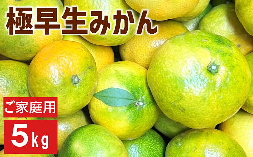 極早生みかん 5kg ご家庭用 日南1号 農園直送 先行予約 【9月中旬以降順次発送】 愛媛 数量限定 愛媛県産 人気 柑橘 伊予市 | B226 1204446 - 愛媛県伊予市
