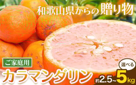家庭用 カラマンダリン 選べる内容量 約2.5kg 約4kg 約5kg(傷み補償分) 訳あり わけあり 希少な春柑橘 池田鹿蔵農園[2025年4月上旬-6月上旬頃出荷] 和歌山県 日高町 柑橘 フルーツ 送料無料[配送不可地域あり]
