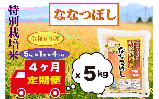 【定期便4回】北海道奈井江町　特別栽培米　ななつぼし　5kg 2101453 - 北海道奈井江町