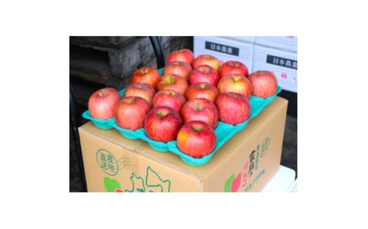 ＜25年11月出荷予定＞平均糖度13度以上! サンふじ 約10kg 贈答用【1612828】 2084228 - 青森県青森市