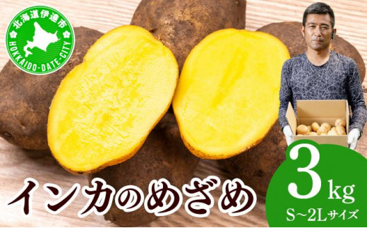 [5525-1112]やまけんや じゃがいも インカのめざめ 3kg S～2Lサイズ サイズ混合 馬鈴薯 芋 いも イモ ポテト 甘い 旬 農作物 野菜 ほくほく ホクホク 国産 お取り寄せ 常温 送料無料 北海道 伊達市 1565207 - 北海道伊達市