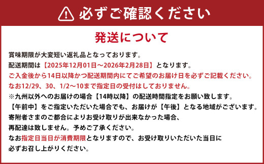 活き車海老