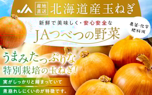 北海道津別町のふるさと納税 R7年産先行受付　玉ねぎ　20kg　特別栽培/010-13054-b01B　【　玉ねぎ　タマネギ　たまねぎ　玉葱　オニオン　カレー　肉じゃが　ハンバーグ　焼肉　BBQ ソテー　スープ　グラタン　シチュー　野菜　常備野菜　長期保存　北海道　産地直送　津別町　オホーツク　道東　ふるさと納税　人気　ランキング　数量限定　】