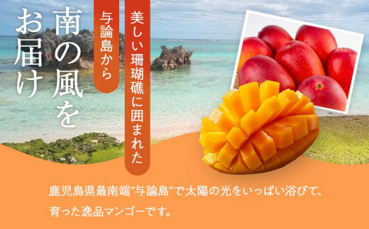 鹿児島県与論町のふるさと納税 【2025年発送】先行予約☆完熟アーウィンマンゴー 2.0kg（4～5個）南の島ヨロンから田畑農園がお届け！〔数量限定〕 | マンゴー 完熟マンゴー 2㎏ 2025年7月上旬以降発送 与論島 美味しい 限定 田畑農園