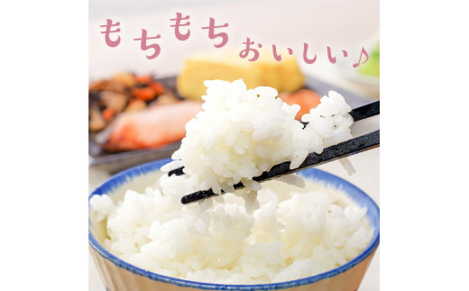 梱包イメージ
